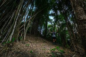 BIB: 
                            <button type="button" onclick="openModal(19395609)" class="btn btn-primary btn-sm float-right btn-popup" data-toggle="modal" data-target=".modal-high-quality">
                        <i class="fas fa-shopping-cart"></i> Add to Cart
                    </button>
                                            <button type="button" onclick="isThisMe(19395609, true)" class="btn btn-success btn-sm float-right btn-popup btn-isme hidden" data-toggle="tooltip" data-placement="bottom" title="นี่คือรูปของคุณใช่ไหม คลิกที่นี่เพื่อเอาเข้าอัลบั้ม">
                        <i class="fas fa-plus"></i> Add to album
                    </button>
                    <button type="button" onclick="isThisMe(19395609, false)" class="btn btn-warning btn-sm float-right btn-popup btn-isnotme hidden">
                        <i class="fas fa-ban"></i> Remove from album
                    </button>